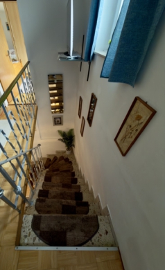 Treppe - Wintrich | Moselblick | ca. 65 m² | Loggia | Balkon