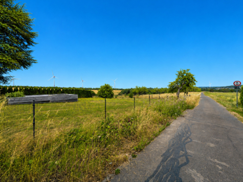 Niederöfflingen | Baugrundstücke | Ortsrand | Naturnah, 54533 Niederöfflingen, Wohngrundstück