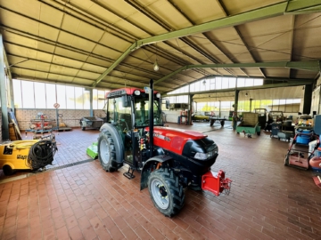 Bild - Haus in Trittenheim