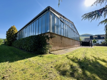 Bild - Haus in Trittenheim