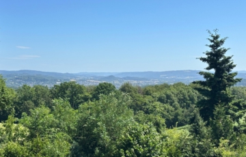 Fernblick - Bergweiler | Neubau | ca. 210 qm Wohnfläche | ca. 2.600 qm Grundstück | Einliegerwohnung